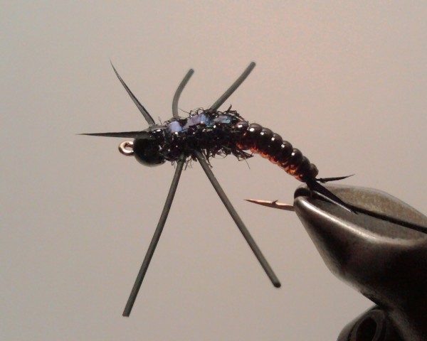 Blackout Stonefly Nymph for Cache La Poudre and Big Thompson