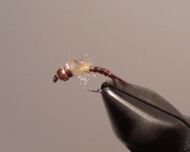 Pale Morning Dun Emerger Nymph fly pattern