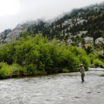 Fly Fishing in The Rocky Mountain National Park