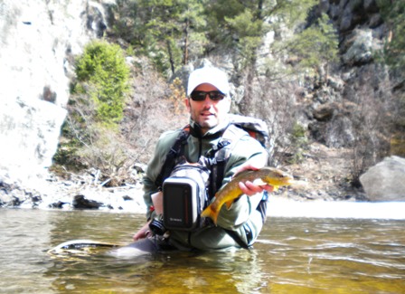 Brown Trout on the Big Thompson River