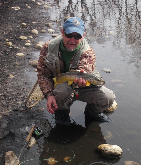 Brown Trout