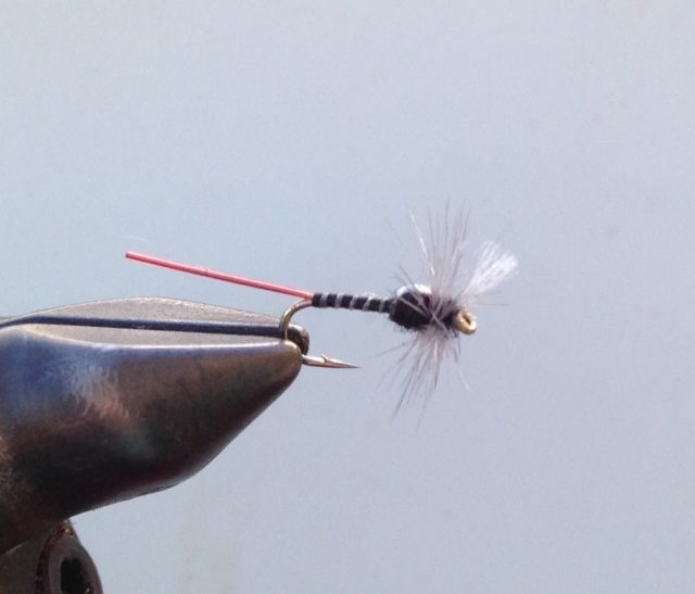 Killer Midge Dry Fly Pattern for the Cache La Poudre and Big Thompson