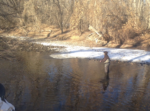 Fly Fishing the Poudre River in Town