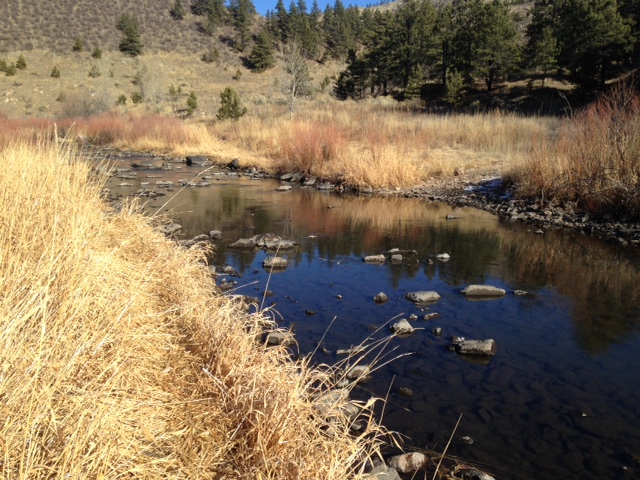 Low Flows on the Poudre