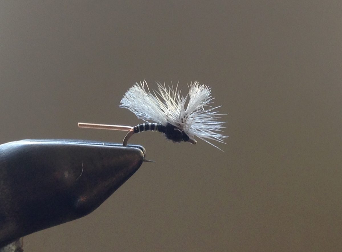 Mullet Midge a dry fly pattern for the Cache La Poudre and Big Thompson