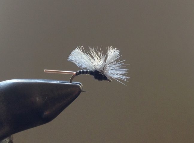 Looking for a new Midge pattern for your fly box? Look no further the Mullet Midge is the answer for fall, winter and early spring dry fly fishing in Fort Collins and Estes Park.