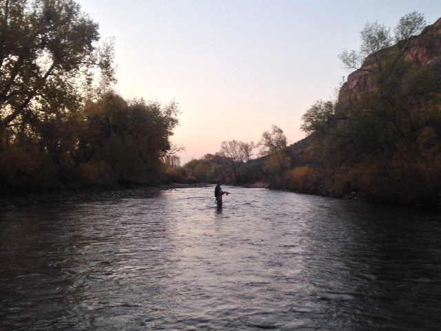 Our Cache La Poudre Fly Fishing Guides report great fly-fishing in Fort Collins