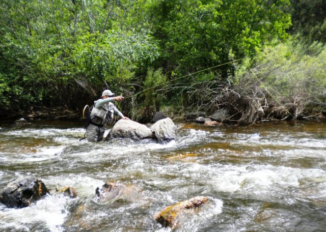 Colorado Beginner Nymph Fishing Class.